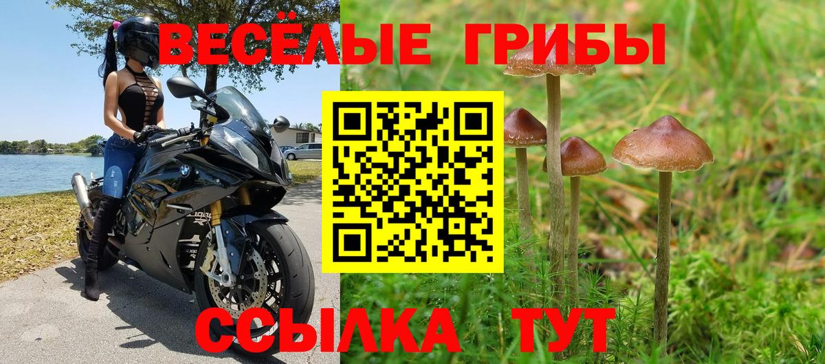 Галлюциногенные грибы мухоморы  Вход с VPN  Асино 